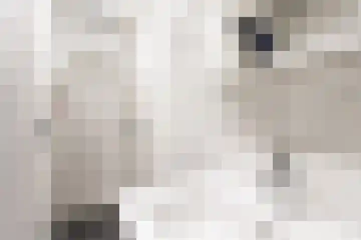 Weteringshoek 24 c Rossum thumbnail 33