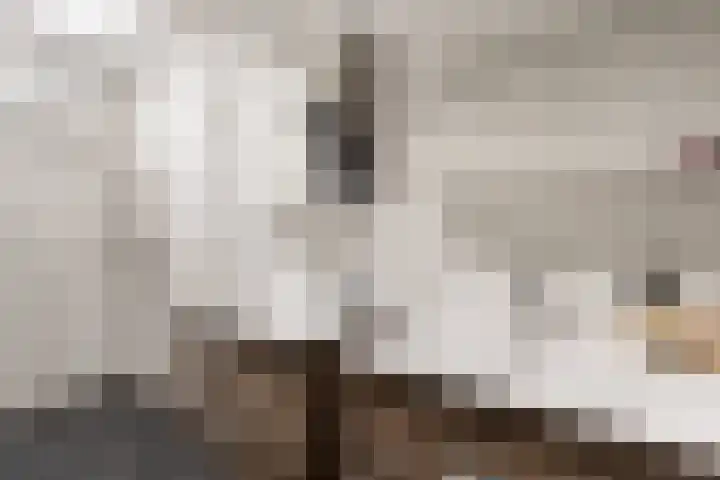 Weteringshoek 24 c Rossum thumbnail 34