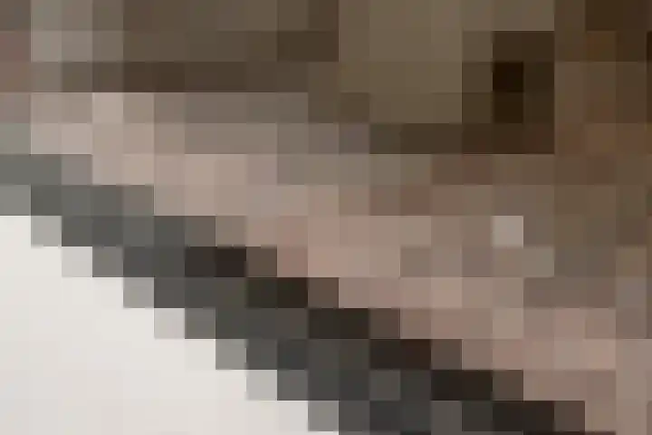 Weteringshoek 24 c Rossum thumbnail 5