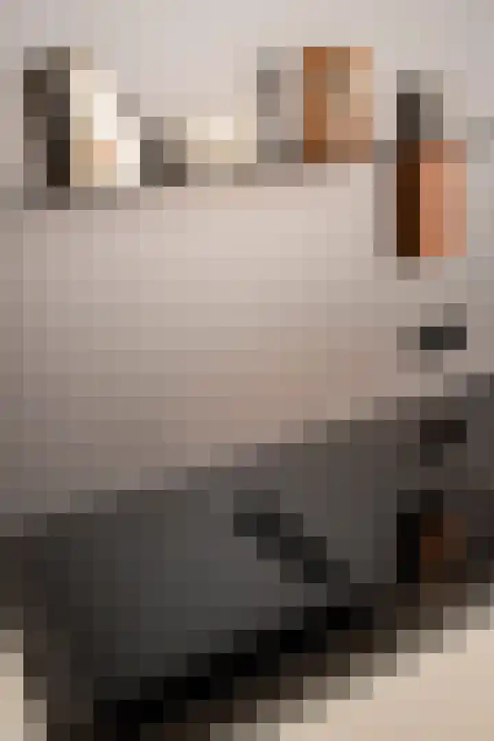 Weteringshoek 24 c Rossum thumbnail 9