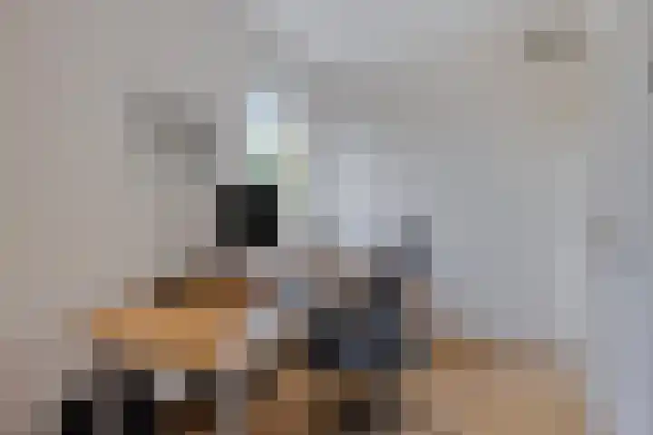 Weteringshoek 7 Rossum thumbnail 23