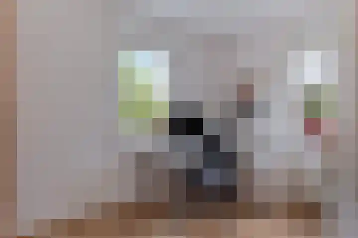 Weteringshoek 7 Rossum thumbnail 24