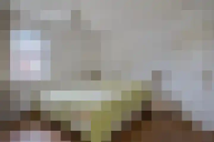 Weteringshoek 7 Rossum thumbnail 26
