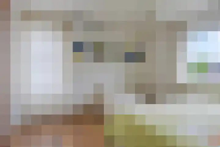 Weteringshoek 7 Rossum thumbnail 27