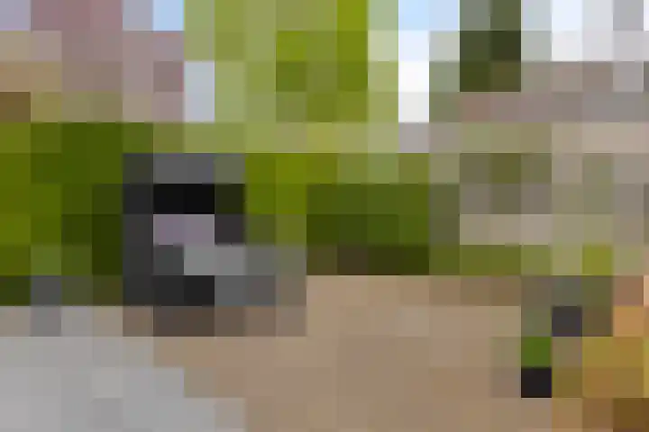 Weteringshoek 7 Rossum thumbnail 39