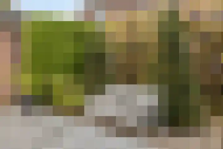 Weteringshoek 7 Rossum thumbnail 42
