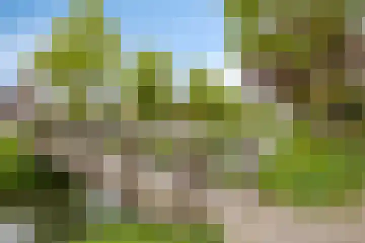 Weteringshoek 7 Rossum thumbnail 47