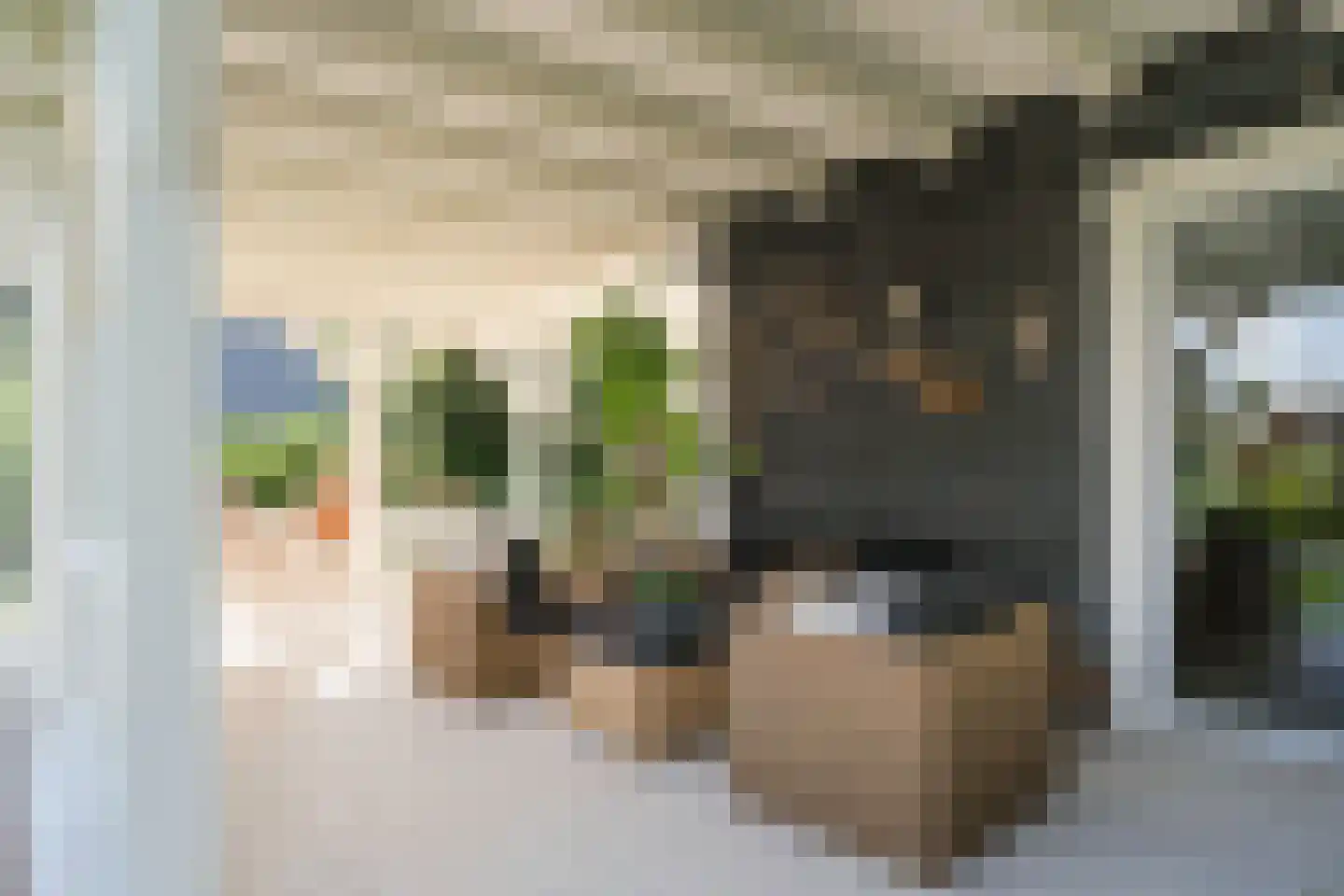 Weteringshoek 8 Aadorp thumbnail 32