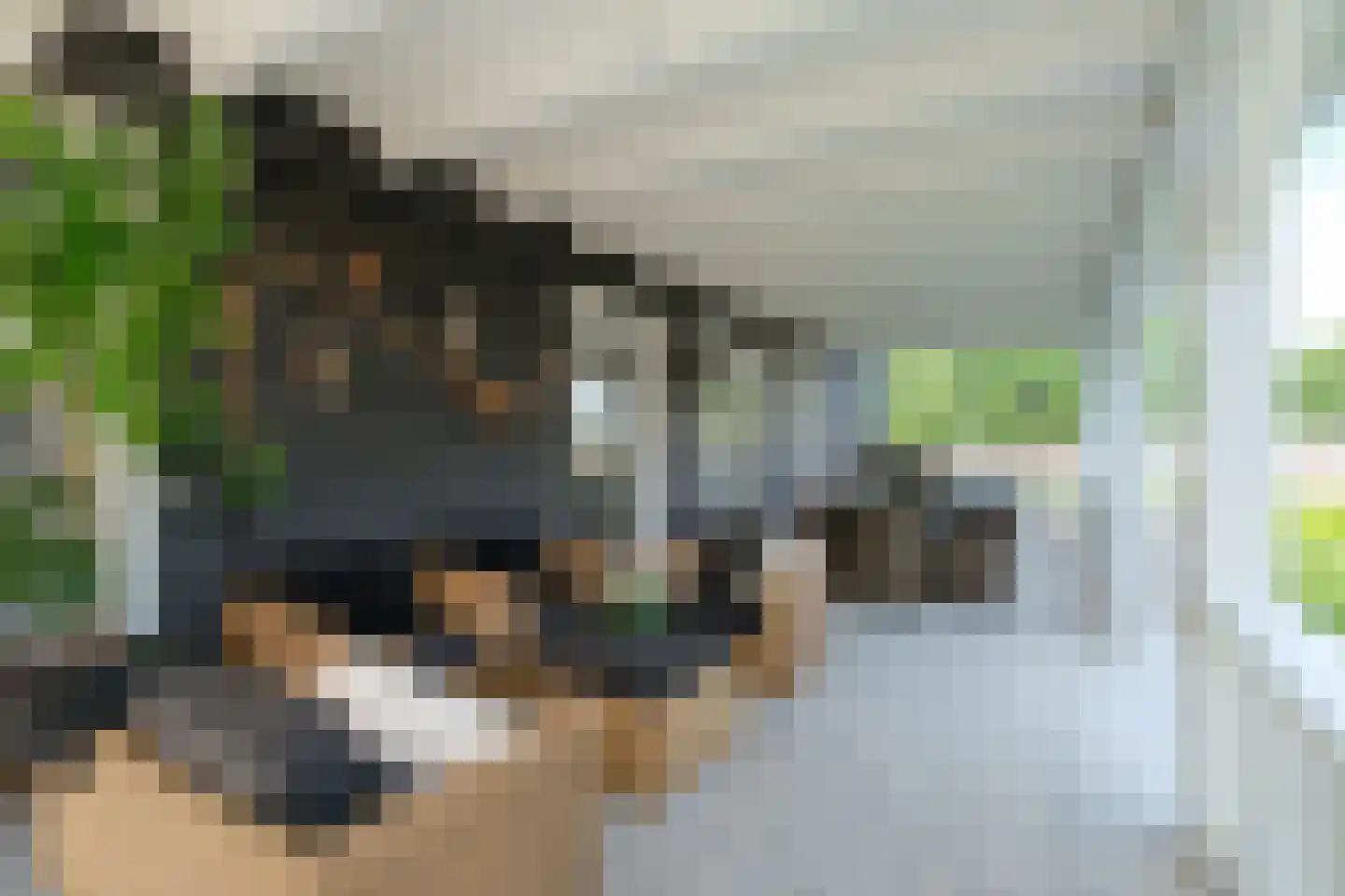 Weteringshoek 8 Aadorp thumbnail 33