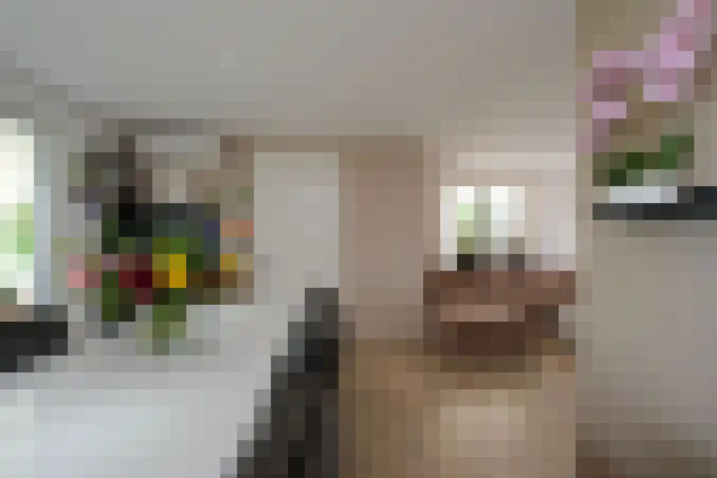 Weteringshoek 8 Aadorp thumbnail 5
