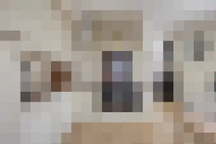 Weteringshof 1 Genderen thumbnail 16
