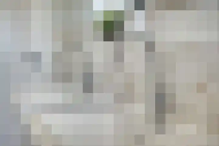Weteringshof 1 Genderen thumbnail 33