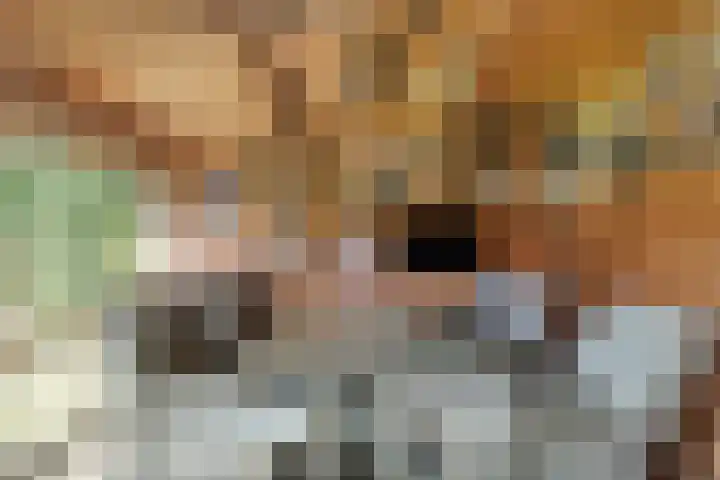 Weteringshof 1 Genderen thumbnail 47