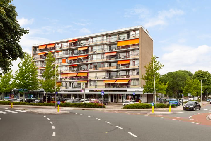 Weteringsingel 113 en Hendrik-Ido-Ambacht foto