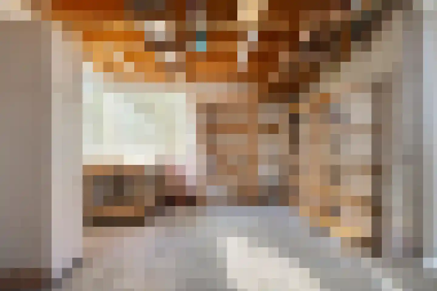 Weteringsingel 118 B Hendrik-Ido-Ambacht thumbnail 24