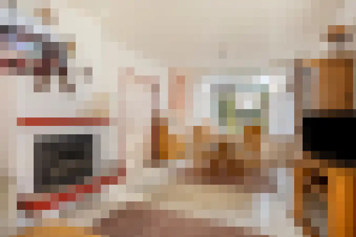 Weteringsingel 118 B Hendrik-Ido-Ambacht thumbnail 9