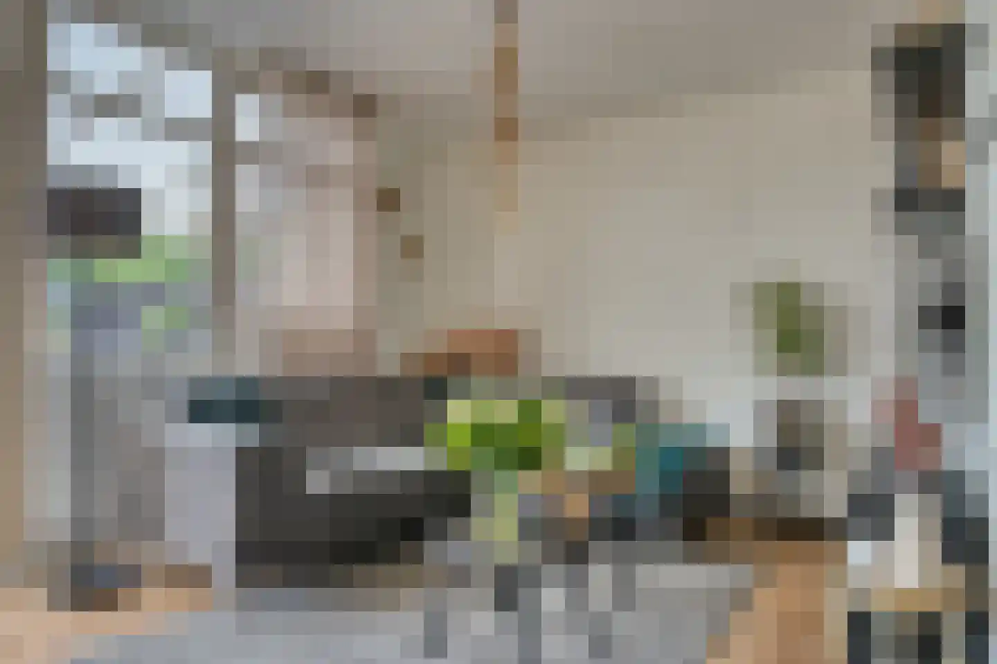 Weteringsingel 210 Hendrik-Ido-Ambacht thumbnail 12