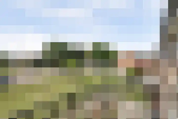 Weteringsingel 78 Hendrik-Ido-Ambacht thumbnail 21