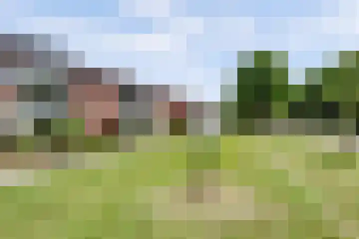 Weteringsingel 78 Hendrik-Ido-Ambacht thumbnail 4