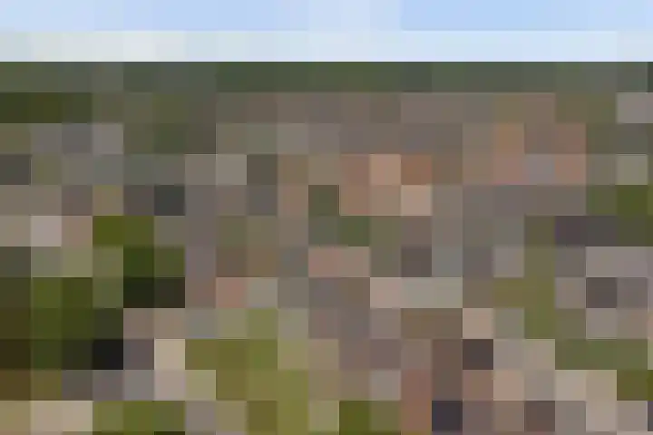 Weteringsingel 78 Hendrik-Ido-Ambacht thumbnail 43