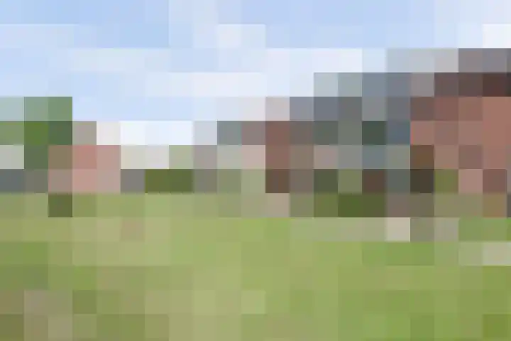 Weteringsingel 78 Hendrik-Ido-Ambacht thumbnail 5