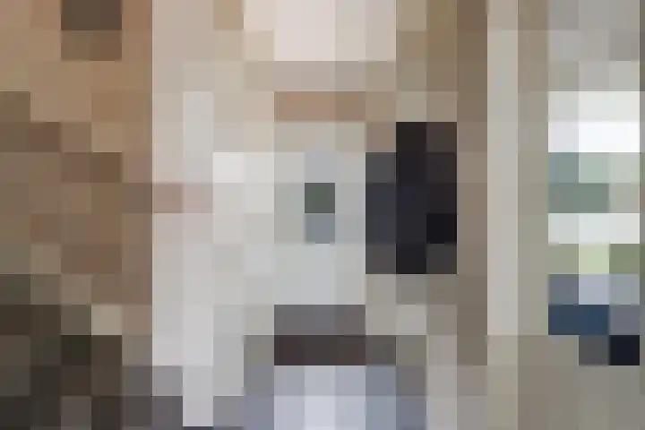 Weteringsingel 78 Hendrik-Ido-Ambacht thumbnail 8