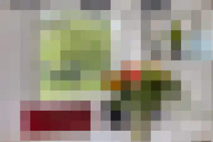 Weteringsteeg 24 Rhenen thumbnail 26