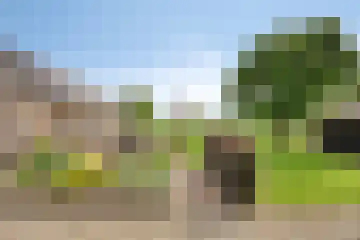 Weteringsteeg 24 Rhenen thumbnail 40