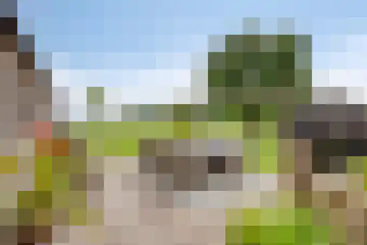 Weteringsteeg 24 Rhenen thumbnail 41