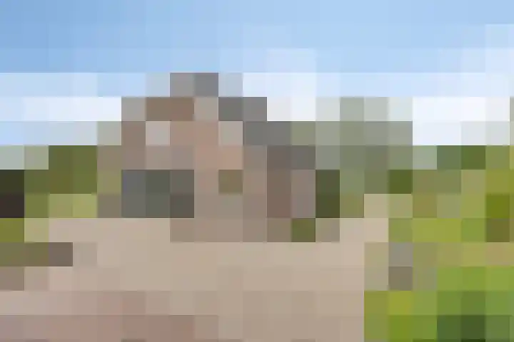 Weteringsteeg 24 Rhenen thumbnail 43