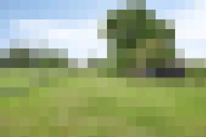 Weteringsteeg 24 Rhenen thumbnail 45