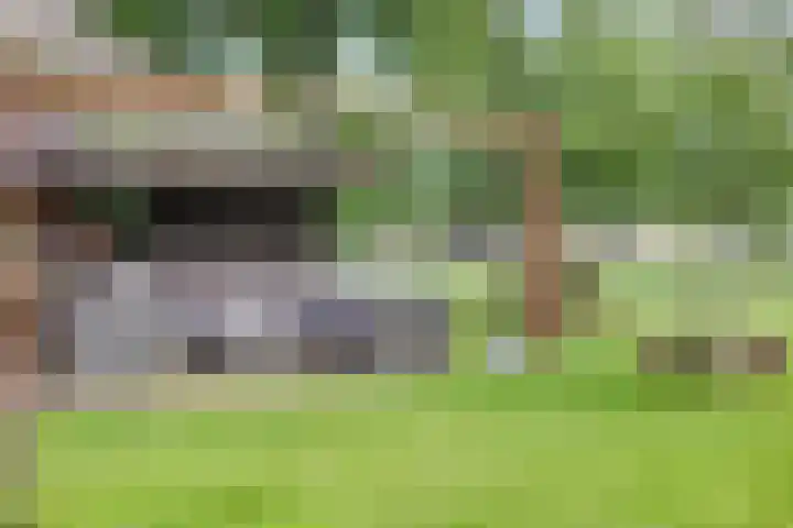 Weteringsteeg 24 Rhenen thumbnail 49