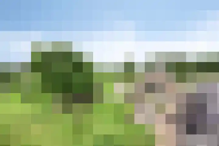 Weteringsteeg 24 Rhenen thumbnail 5