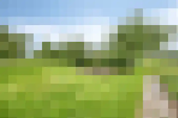 Weteringsteeg 24 Rhenen thumbnail 50