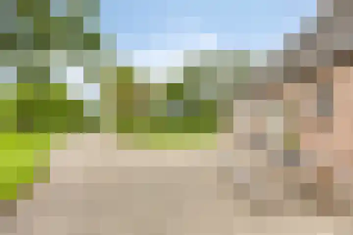 Weteringsteeg 24 Rhenen thumbnail 52