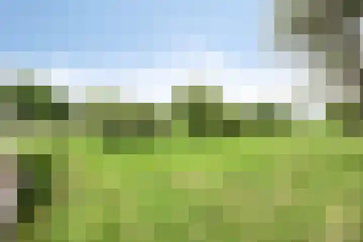 Weteringsteeg 24 Rhenen thumbnail 54