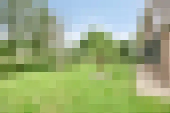 Weteringsteeg 24 Rhenen thumbnail 55