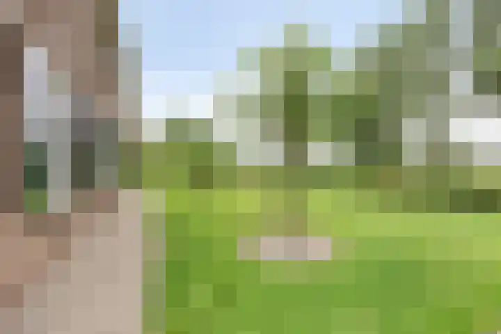 Weteringsteeg 24 Rhenen thumbnail 56