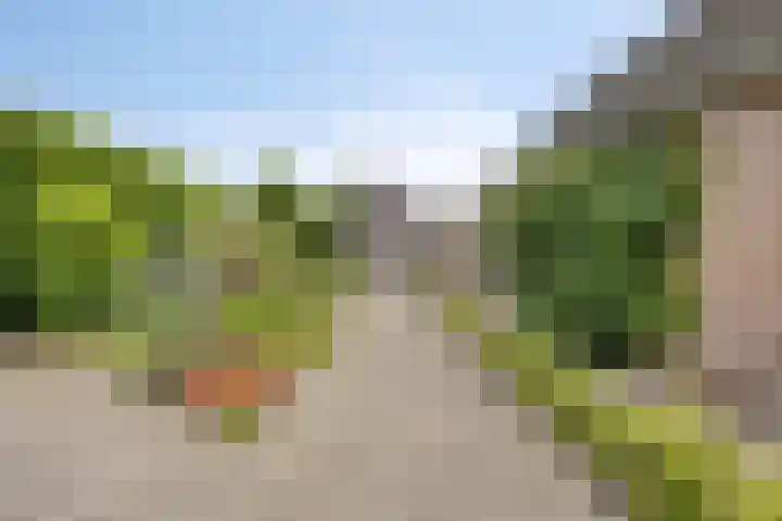 Weteringsteeg 24 Rhenen thumbnail 58