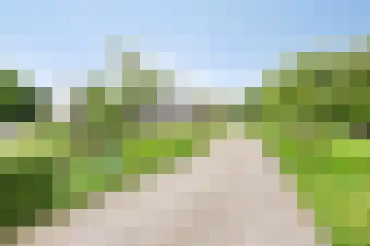 Weteringsteeg 24 Rhenen thumbnail 6
