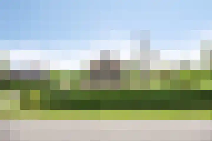Weteringsteeg 24 Rhenen thumbnail 62