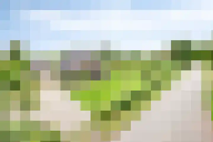 Weteringsteeg 24 Rhenen thumbnail 64