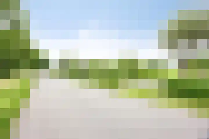 Weteringsteeg 24 Rhenen thumbnail 65