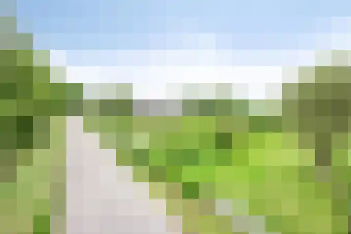 Weteringsteeg 24 Rhenen thumbnail 66
