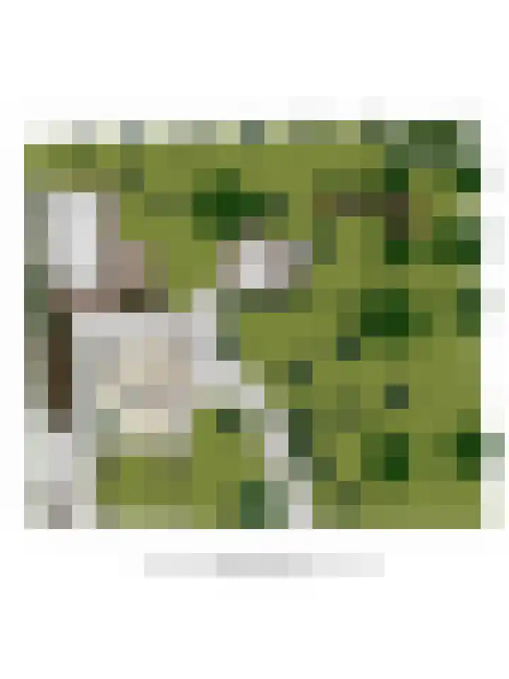Weteringsteeg 24 Rhenen thumbnail 73