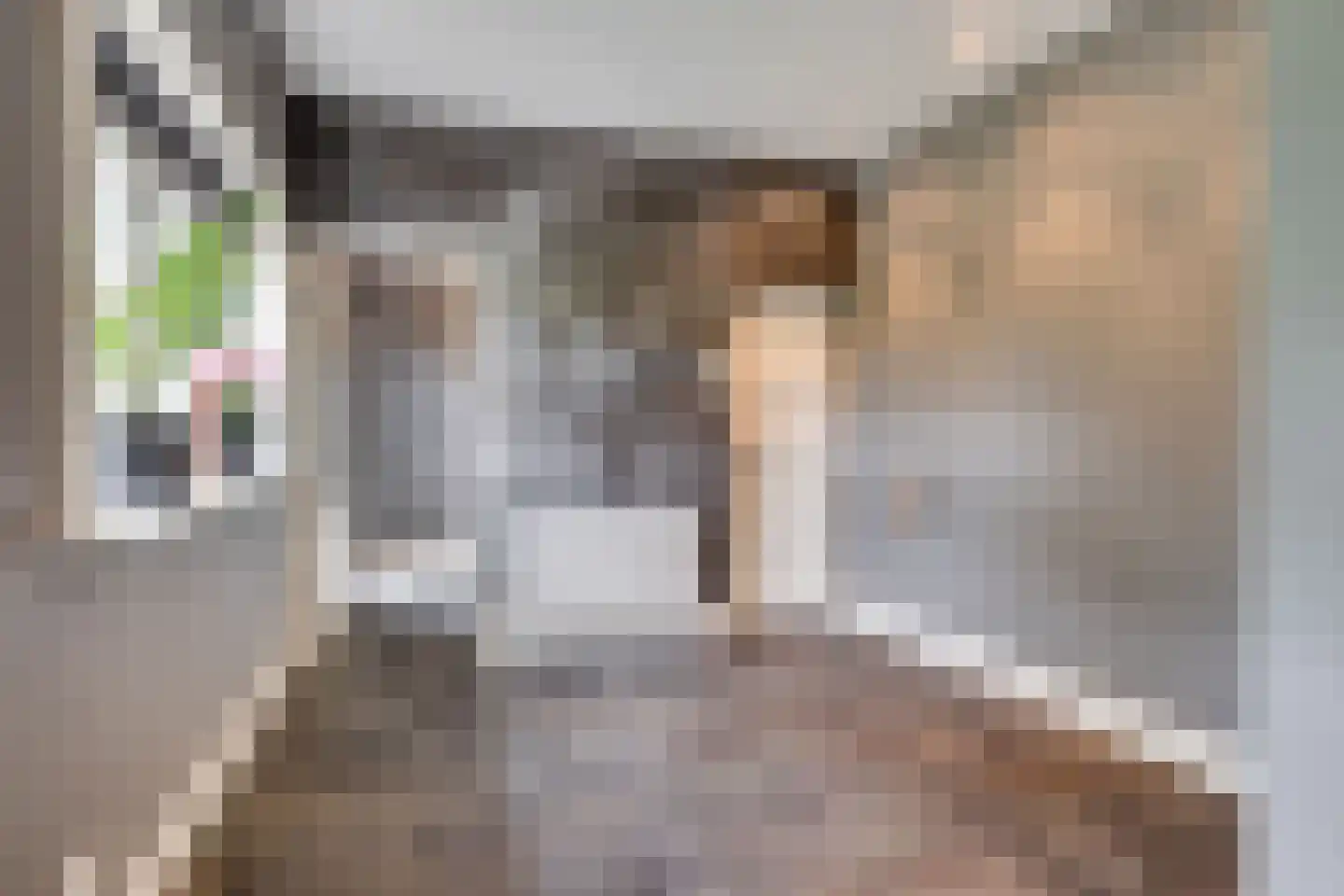 Weteringsteeg 54 Rhenen thumbnail 21