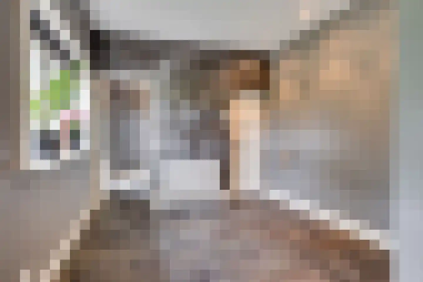 Weteringsteeg 54 Rhenen thumbnail 21