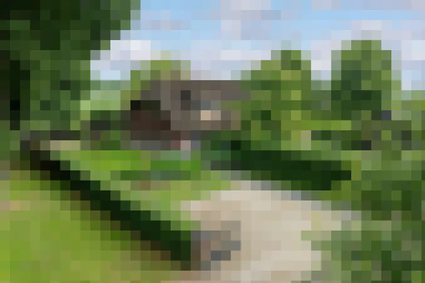 Weteringsteeg 54 Rhenen thumbnail 4