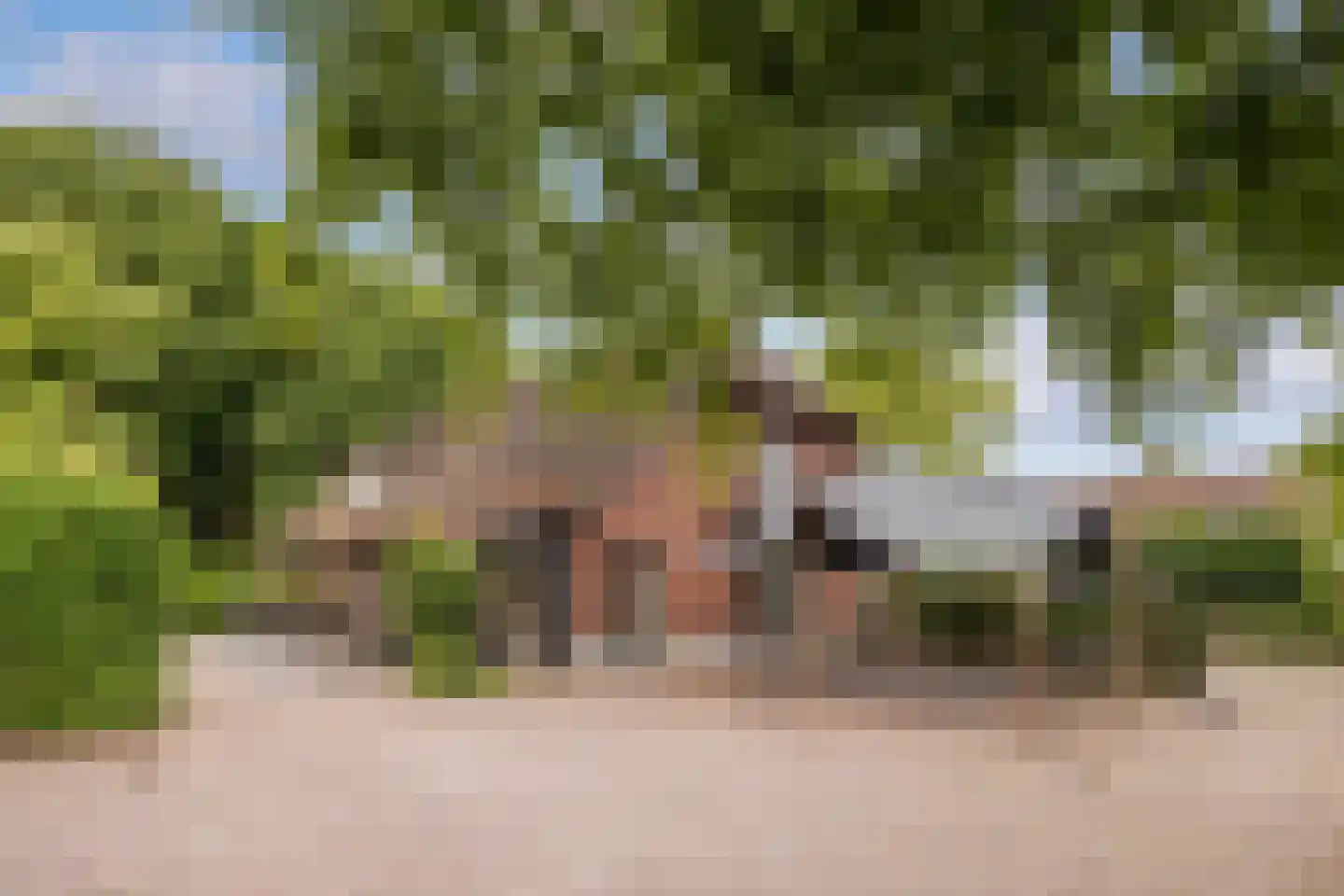 Weteringsteeg 54 Rhenen thumbnail 43