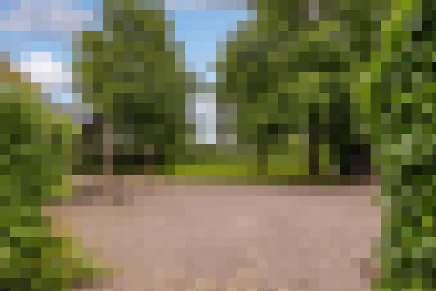 Weteringsteeg 54 Rhenen thumbnail 51